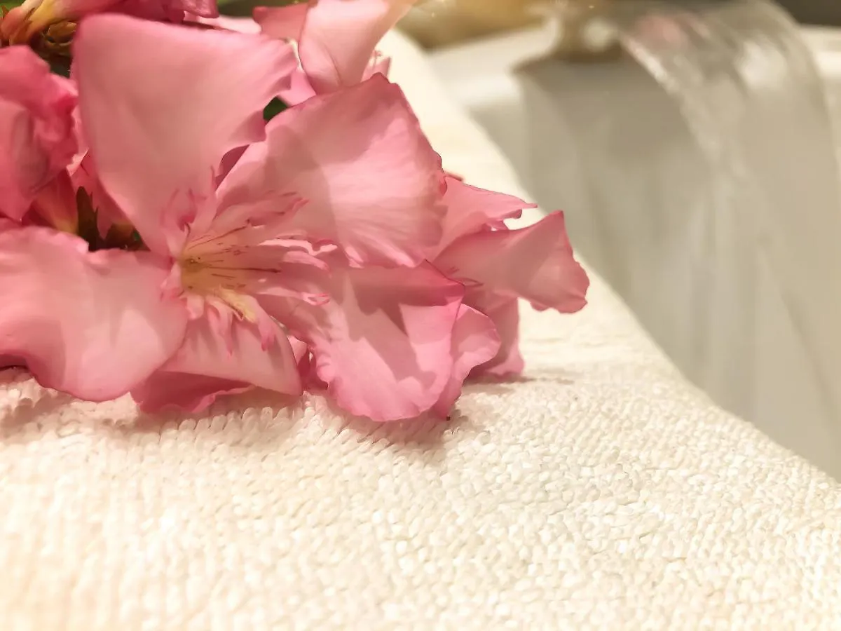 Hotel Arifi شكودر